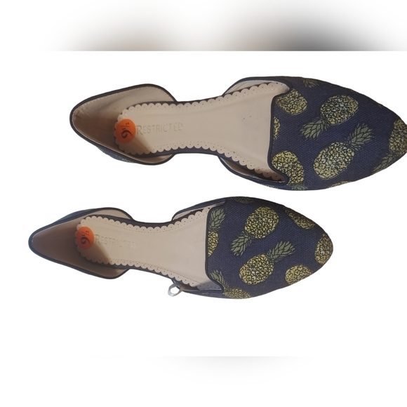 9.5 Restricted flats - Picture 4 of 5